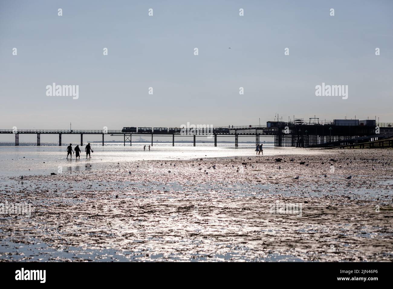 People walk the beach at low tide near Southend pleasure Pier on a bright sunny day Stock Photo