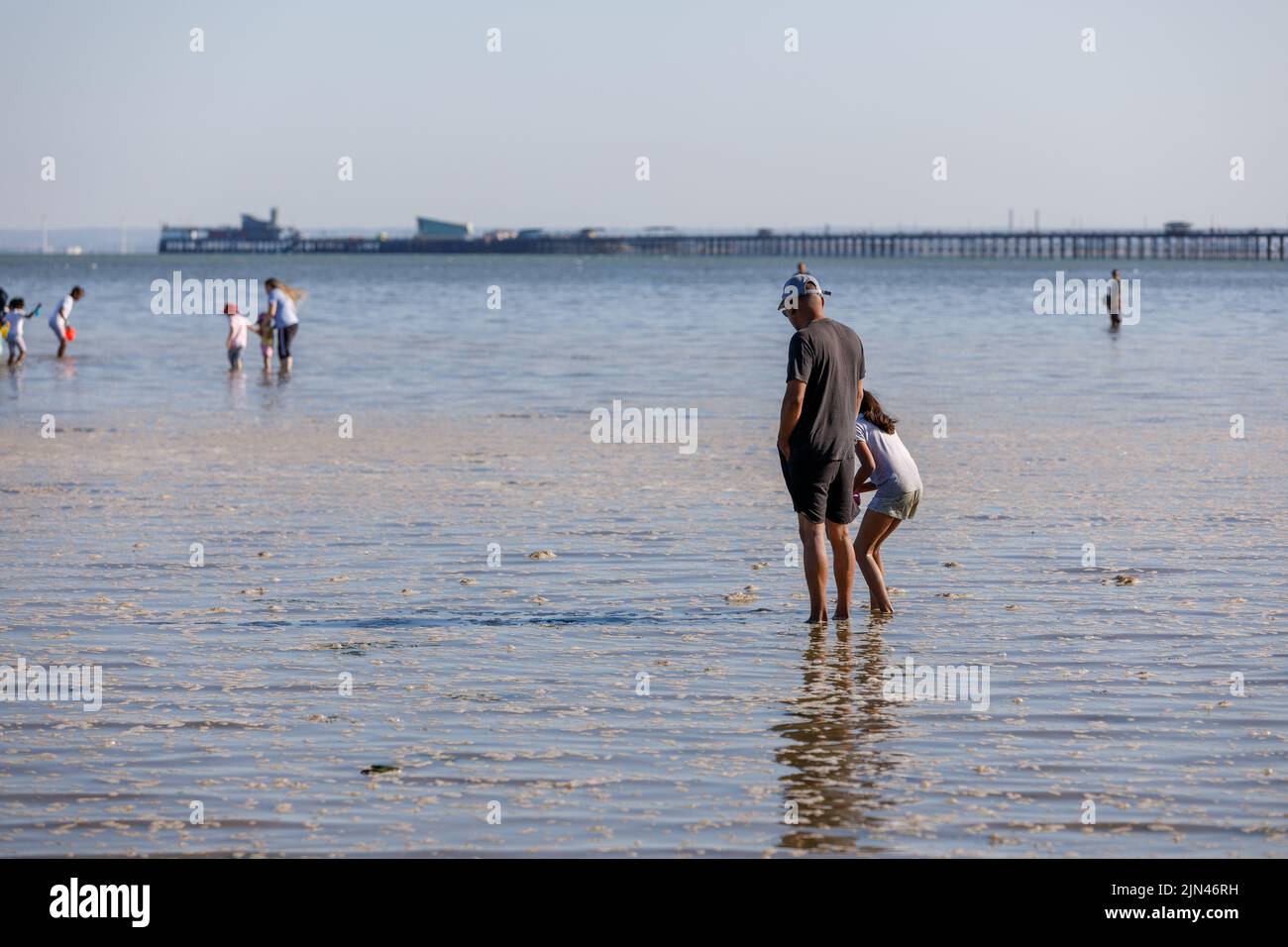 Heatwave UK. Pollution. Father and daughter in the sea at the beach with algae foam spume all around caused by hot weather and pollutants Stock Photo