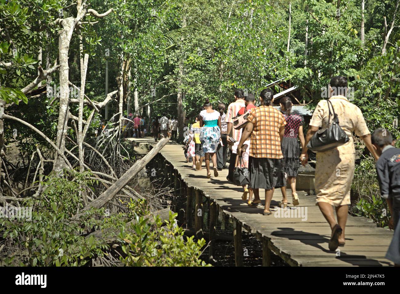 Villagers walking on a wooden walkway built above coastal wetland in Horale village, Seram Utara Barat, Maluku Tengah, Maluku, Indonesia. Stock Photo