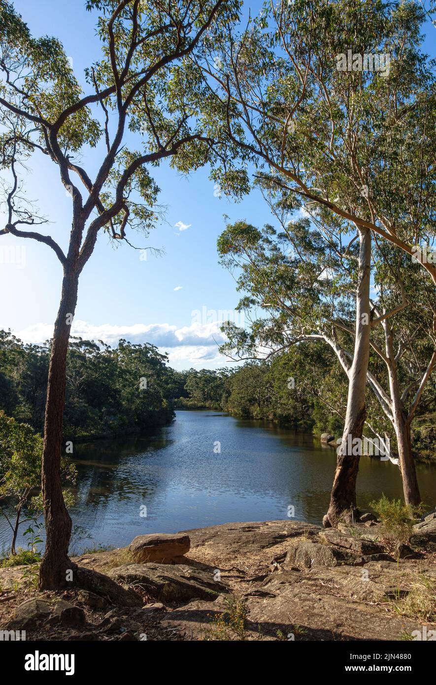 A view onto Lake Parramatta from the Arrunga Bardo Walk along the Lake Circuit Stock Photo