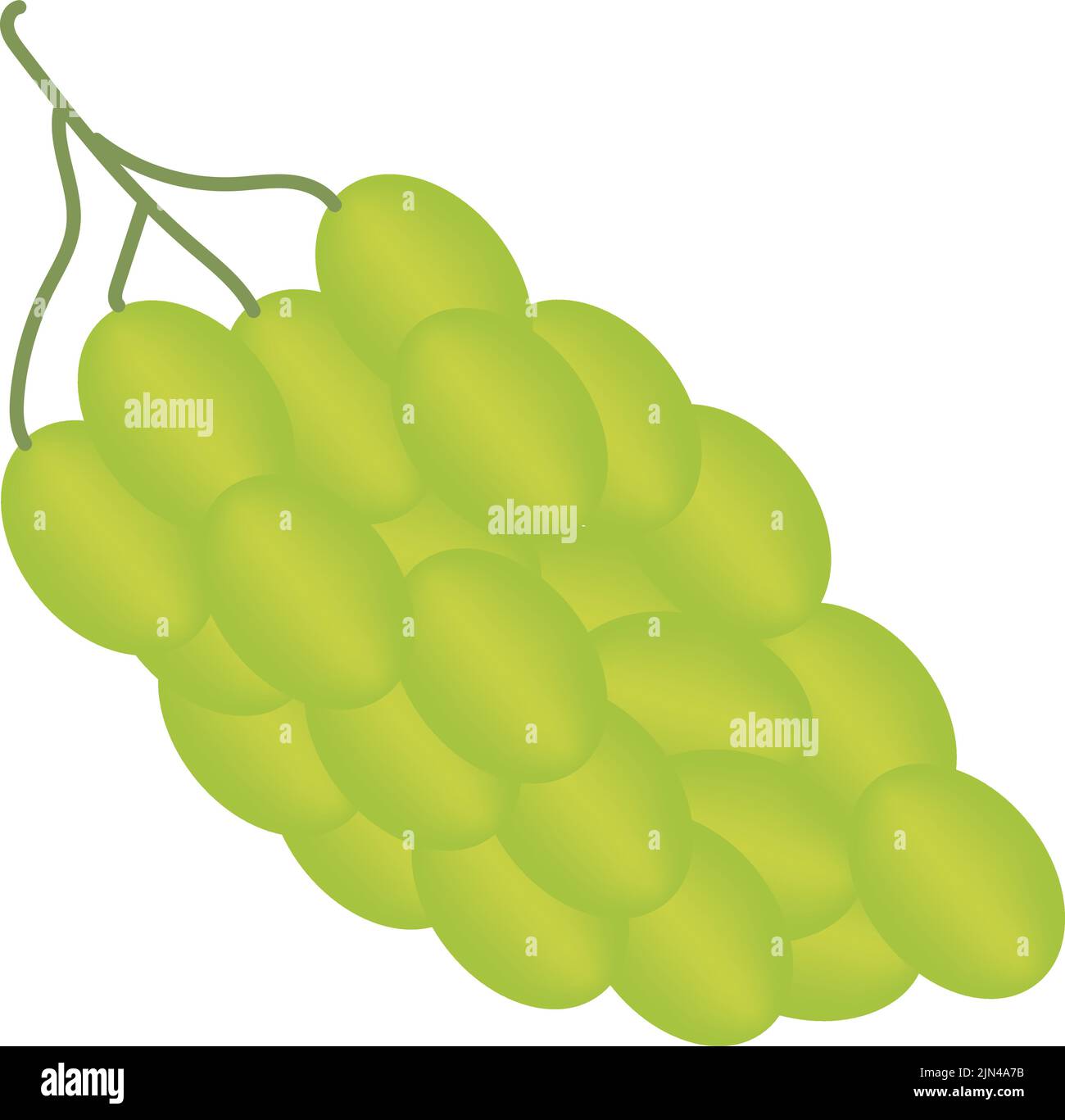 Green grape with leaves isolated on white. With clipping path. Stock Vector