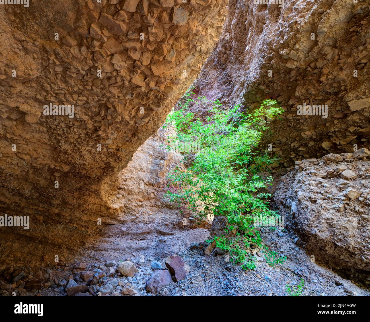 Leasburg (Las Cruces) Slot Canyon, New Mexico, USA Stock Photo - Alamy