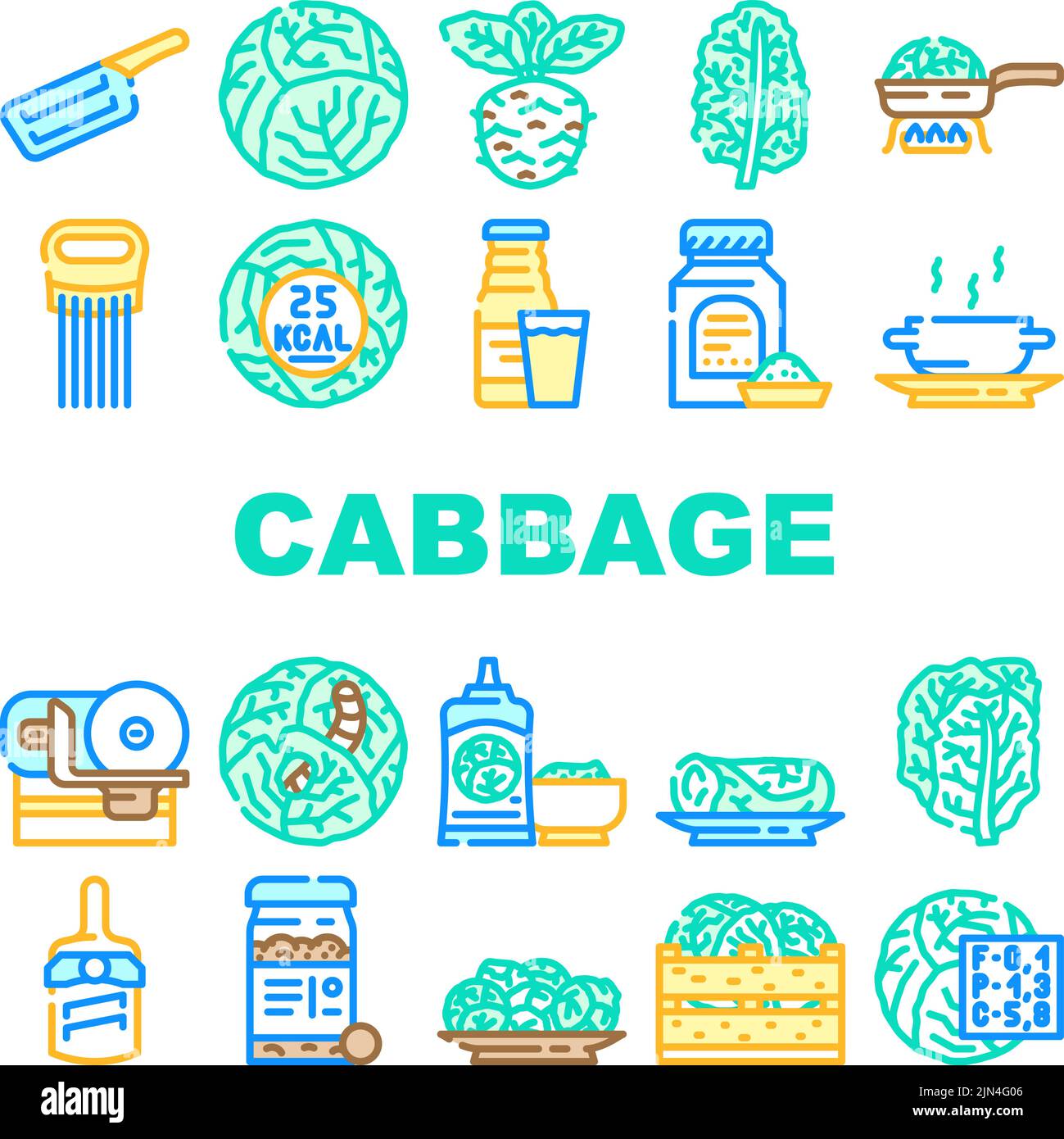 cabbage white green vegetable icons set vector Stock Vector Image & Art ...