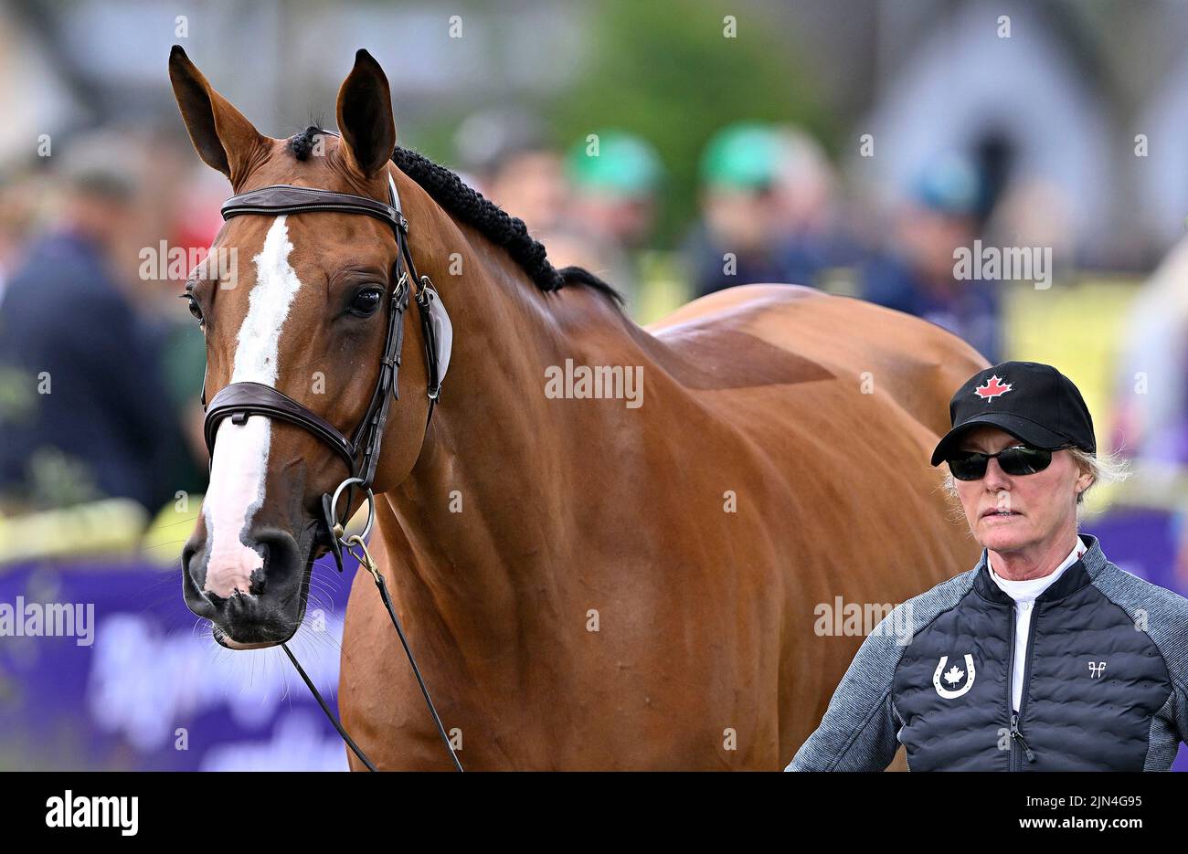 Herning. Denmark. 08 August 2022. World Equestrian Games. . eth