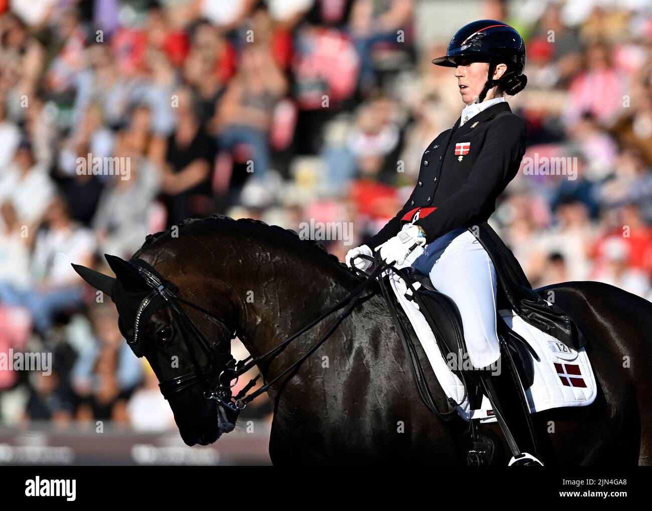 Herning, Denmark. 08th Aug, 2022. World Equestrian Games. Carina Cassøe ...