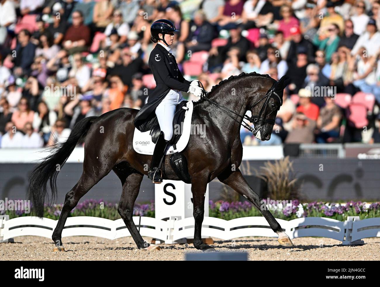 Herning, Denmark. 08th Aug, 2022. World Equestrian Games. Carina Cassøe