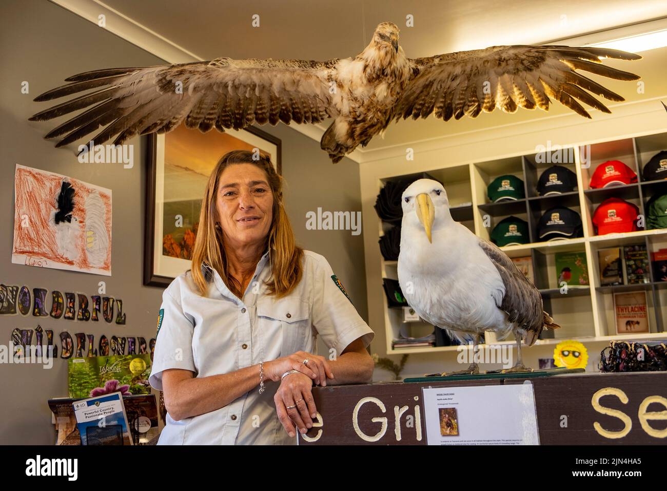 Tasmanian Parks and Wildlife Service visitor service officer Hazel Tapson in the PWS service centre at Arthur River Stock Photo
