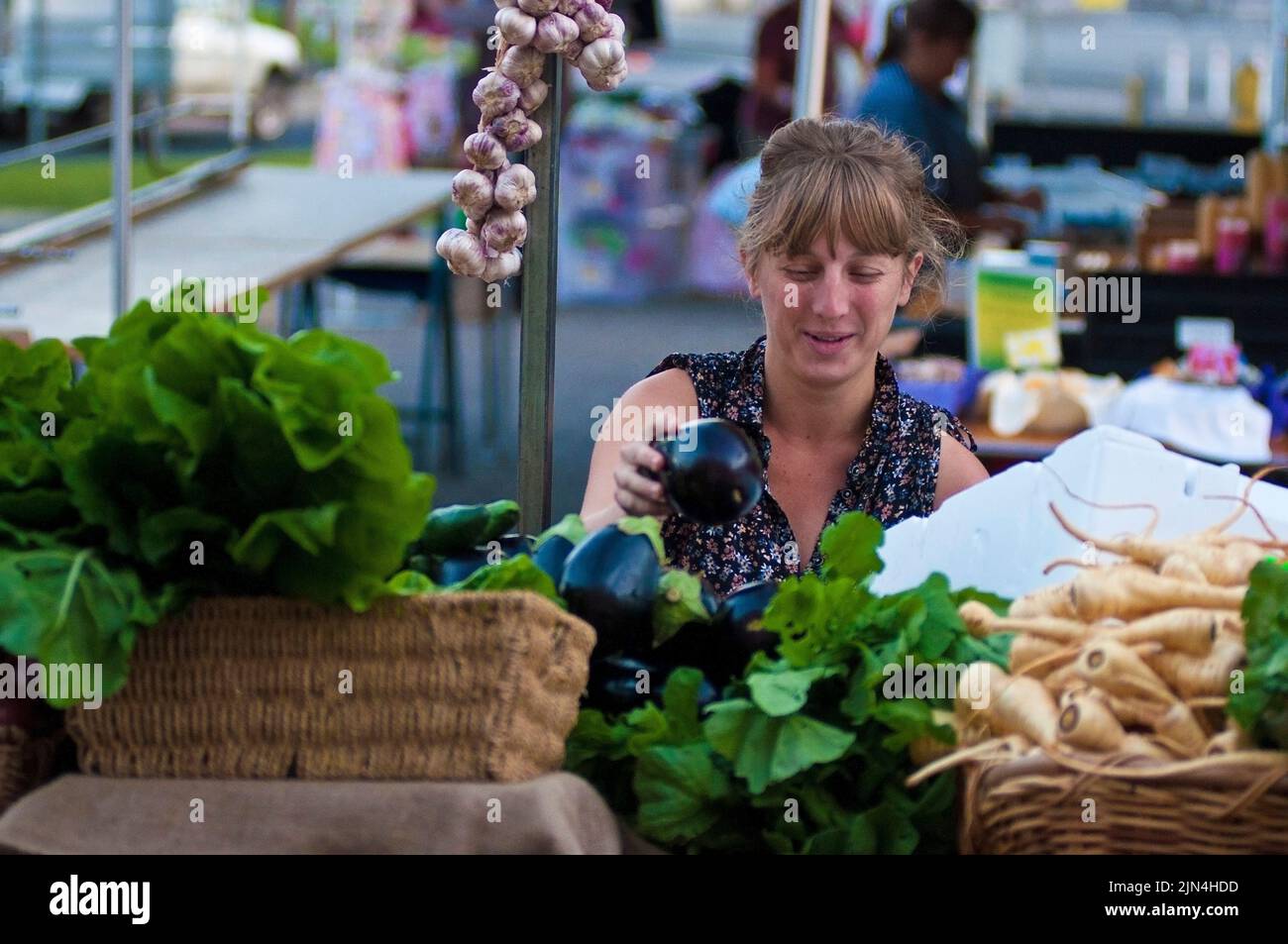 Stall holder setting out their display of produce at Salamanca Market, Hobart, Tasmania, Australia Stock Photo