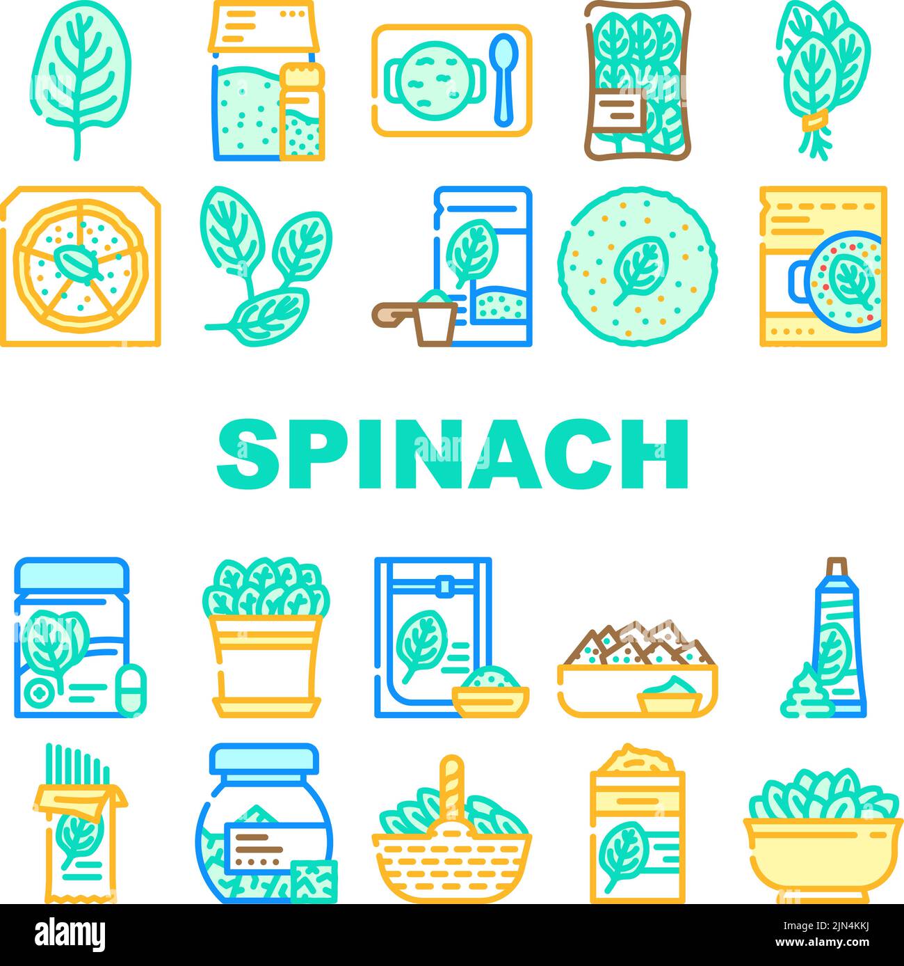 spinach leaf salad green food icons set vector Stock Vector Image & Art ...