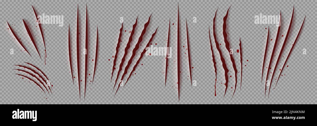 Blood scratches of wild animal claws, red scary talons marks isolated on transparent background. Vector realistic illustration of torn slashes from cat, tiger or bear paw, monster attack Stock Vector