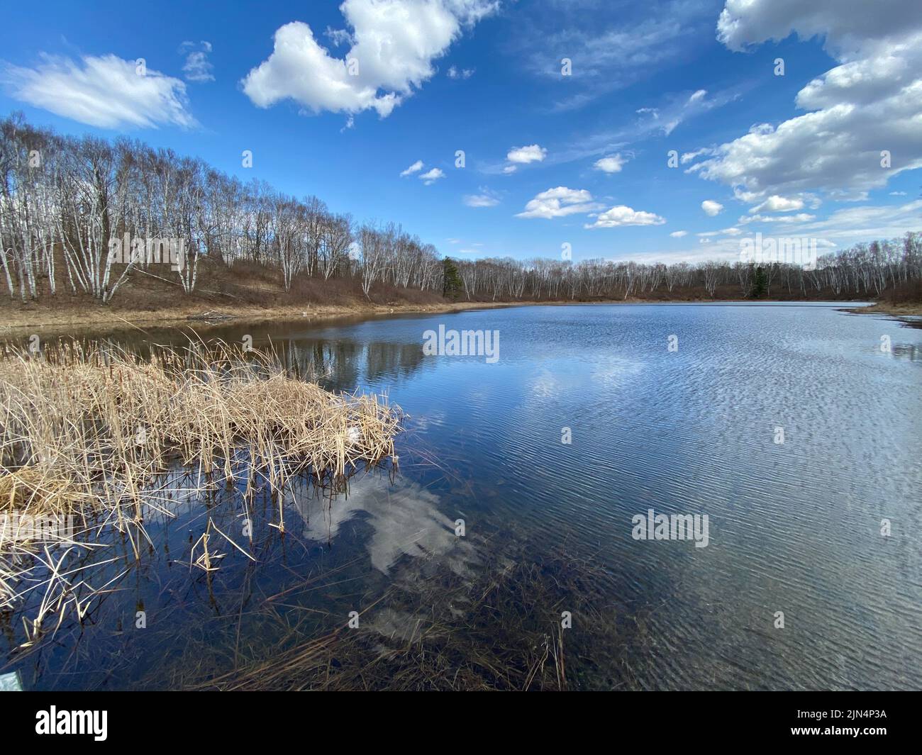 An aerial view of lake surrounded by trees under blue bright sky Stock ...