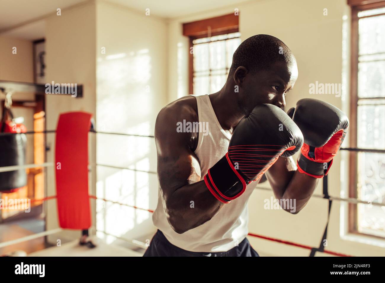 Young male boxer standing in a fighting position while wearing boxing gloves. Sporty young man having a boxing training session in a gym. Stock Photo