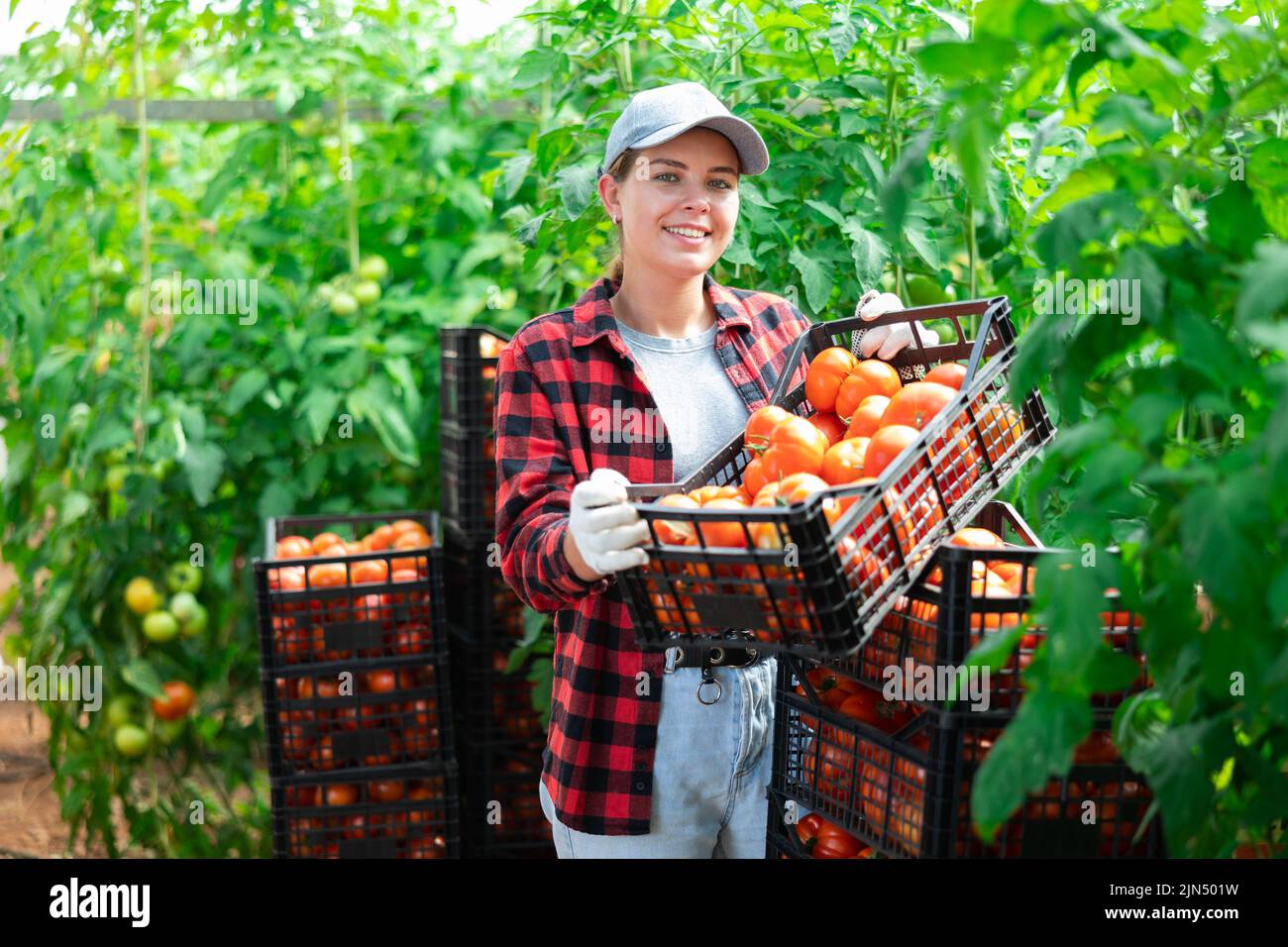 Portrait of cheerful young woman gardener with crate of tomatoes Stock ...