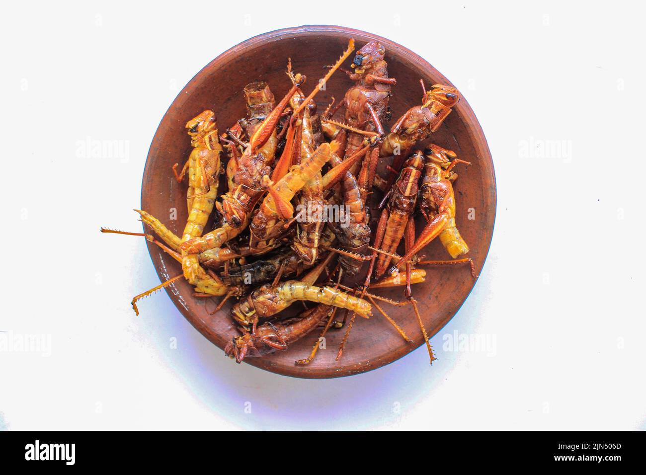 fried or belalang goreng is traditional food from southeast