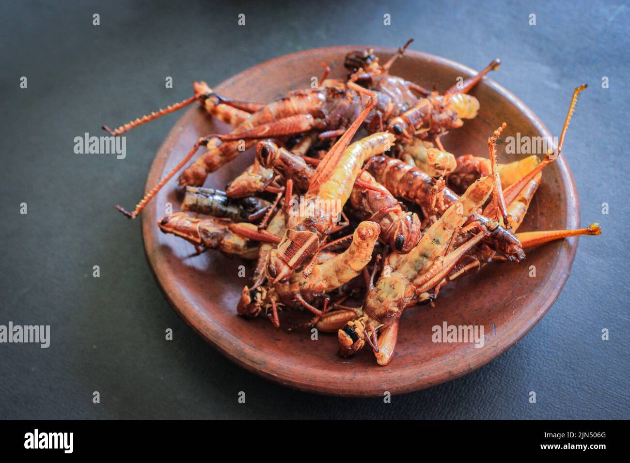 fried or belalang goreng is traditional food from southeast