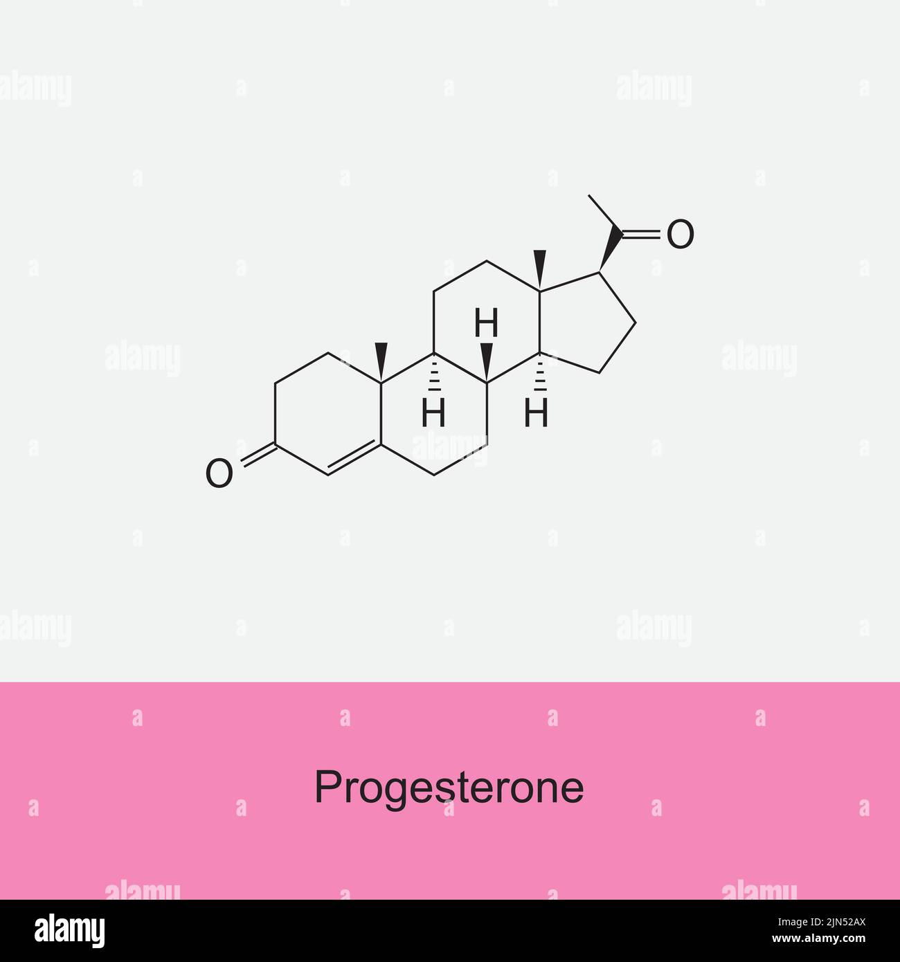 Progesterone hormone molecular structure on white background. Vector