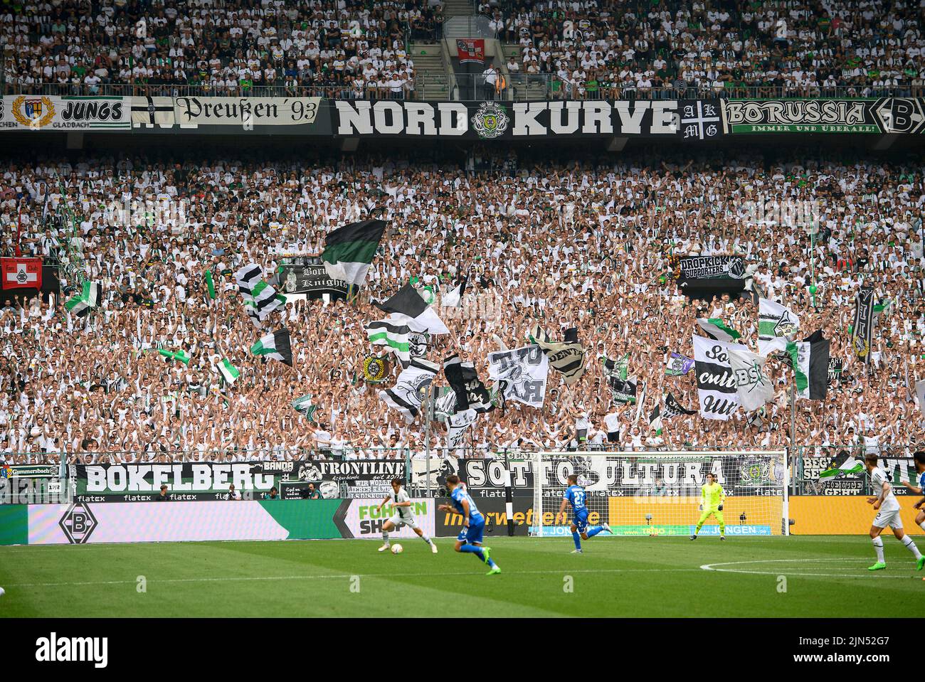 Feature, north curve, fan curve MG in front of a game scene, Borussia-Park football 1st Bundesliga, 1st matchday, Borussia Monchengladbach (MG) - TSG 1899 Hoffenheim (1899), 3: 1, on August 6th, 2022 in Borussia Monchengladbach/Germany. #DFL regulations prohibit any use of photographs as image sequences and/or quasi-video # © Stock Photo