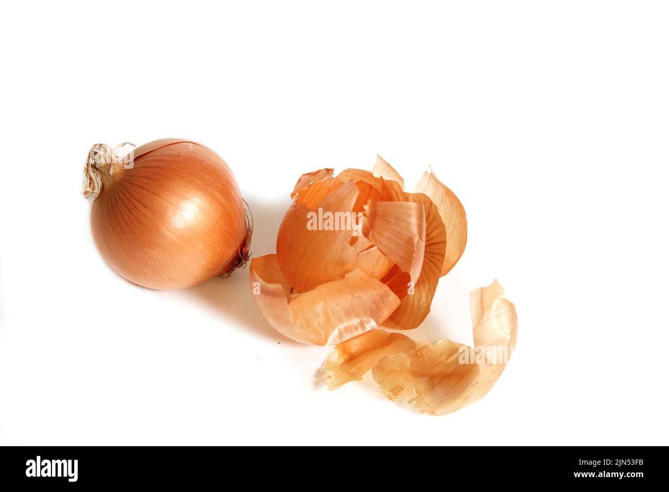 Onion and Onion Peel Isolated on White Stock Photo Alamy