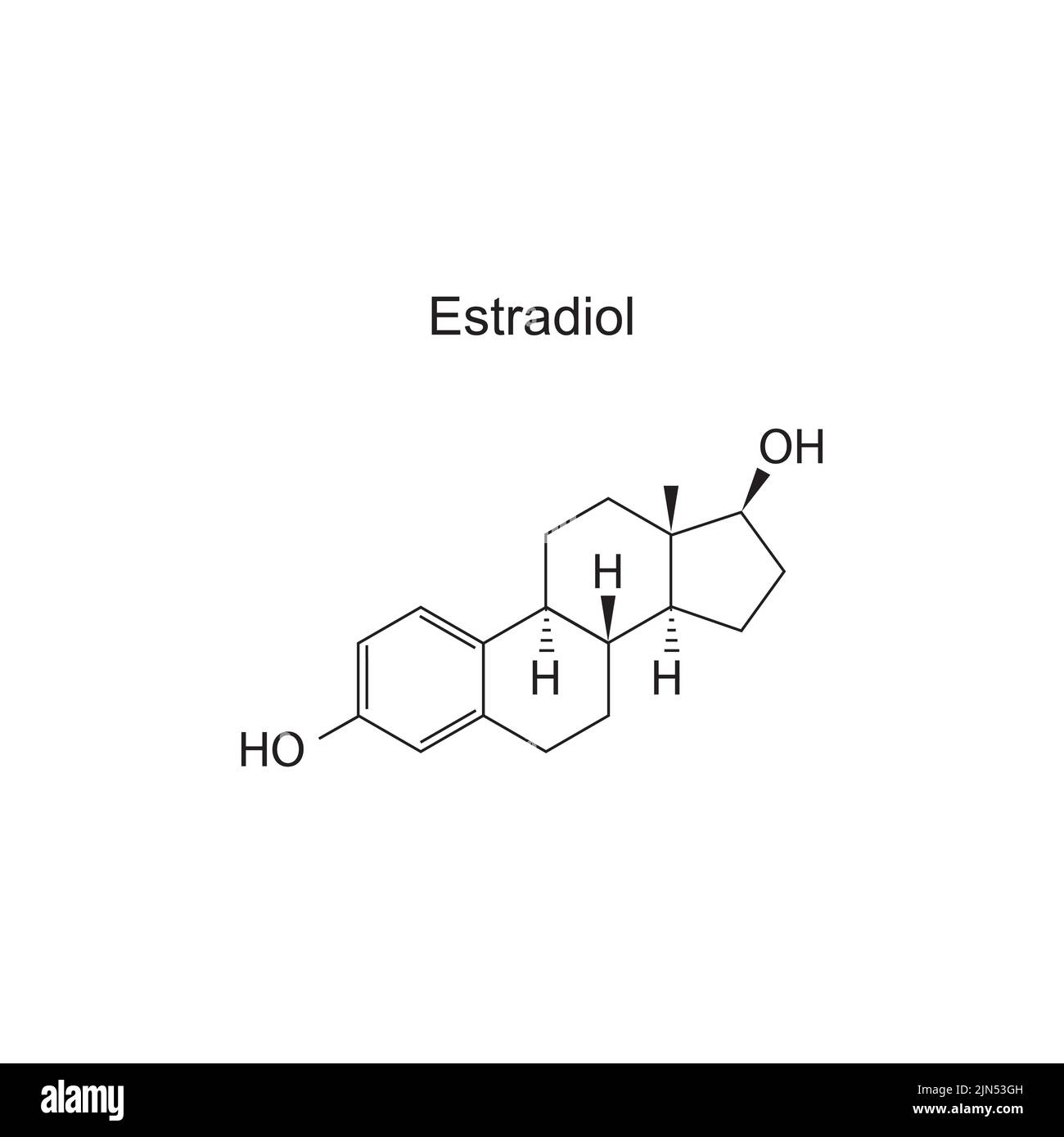 Estradiol hormone molecular structure on white background. Vector