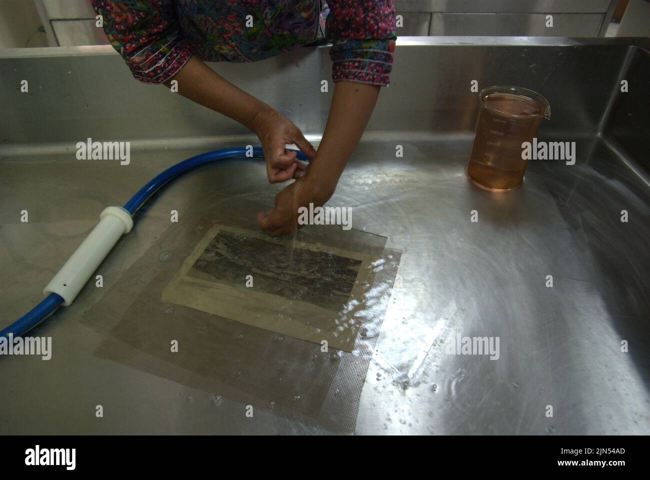 A scientist doing maintenance work on a valuable page of a book by soaking it in liquid chemical and water at the National Library in Jakarta, Indonesia. Stock Photo