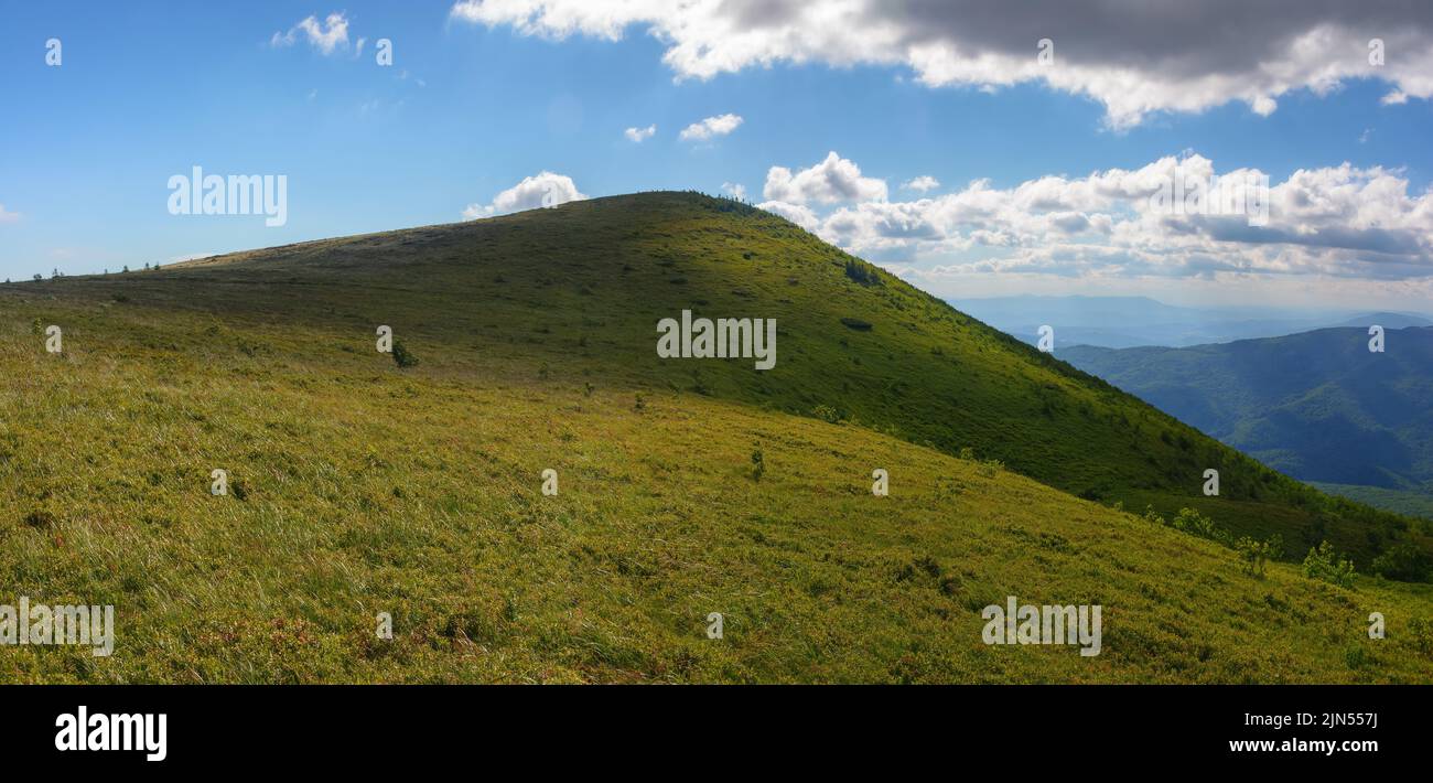 mountainous countryside nature scenery in summer. beautiful views of carpathian landscape on a sunny afternoon Stock Photo