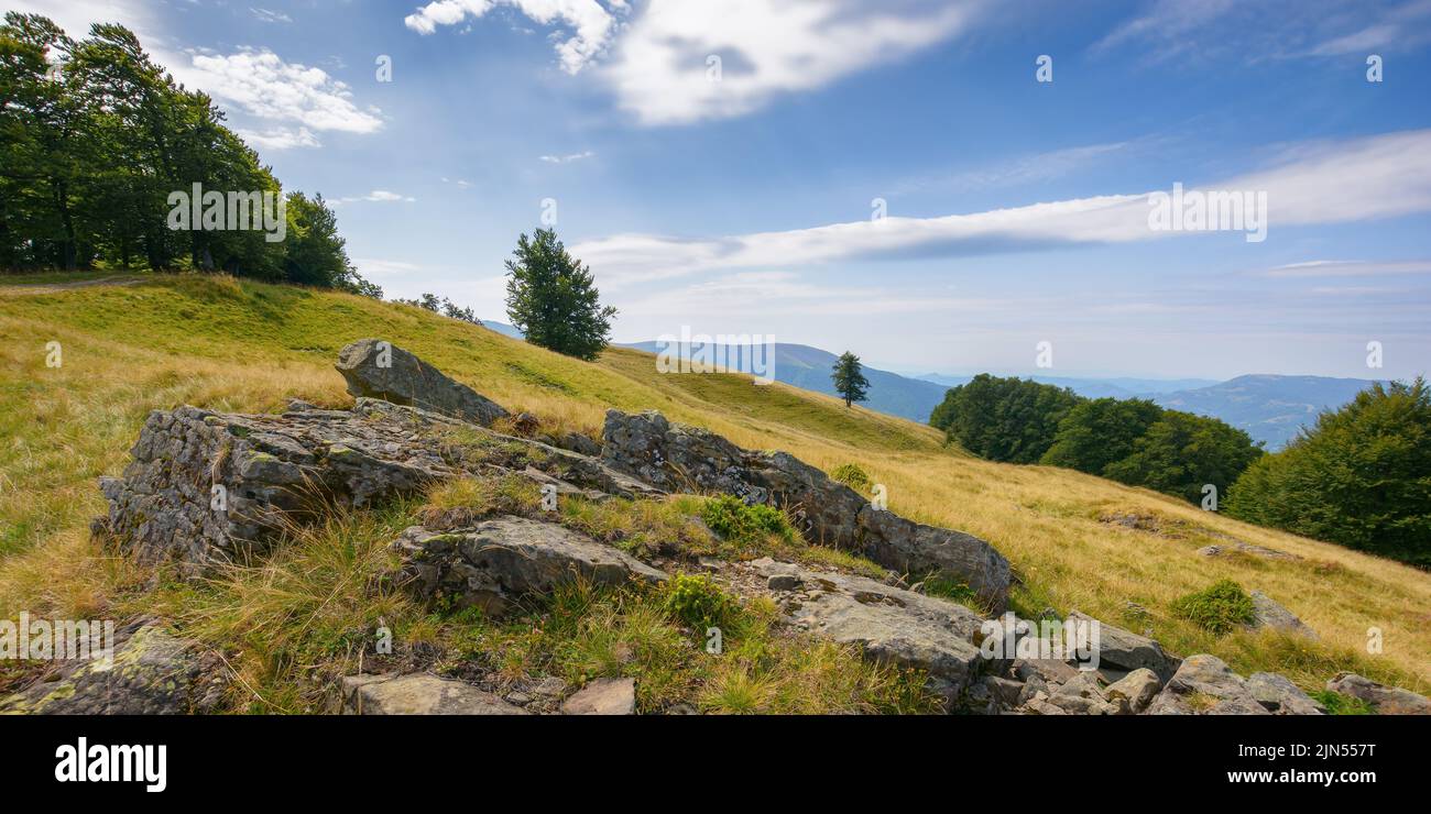 carpathian mountain landscape with grassy hills and meadows. countryside scenery on a bright sunny day in late summer Stock Photo