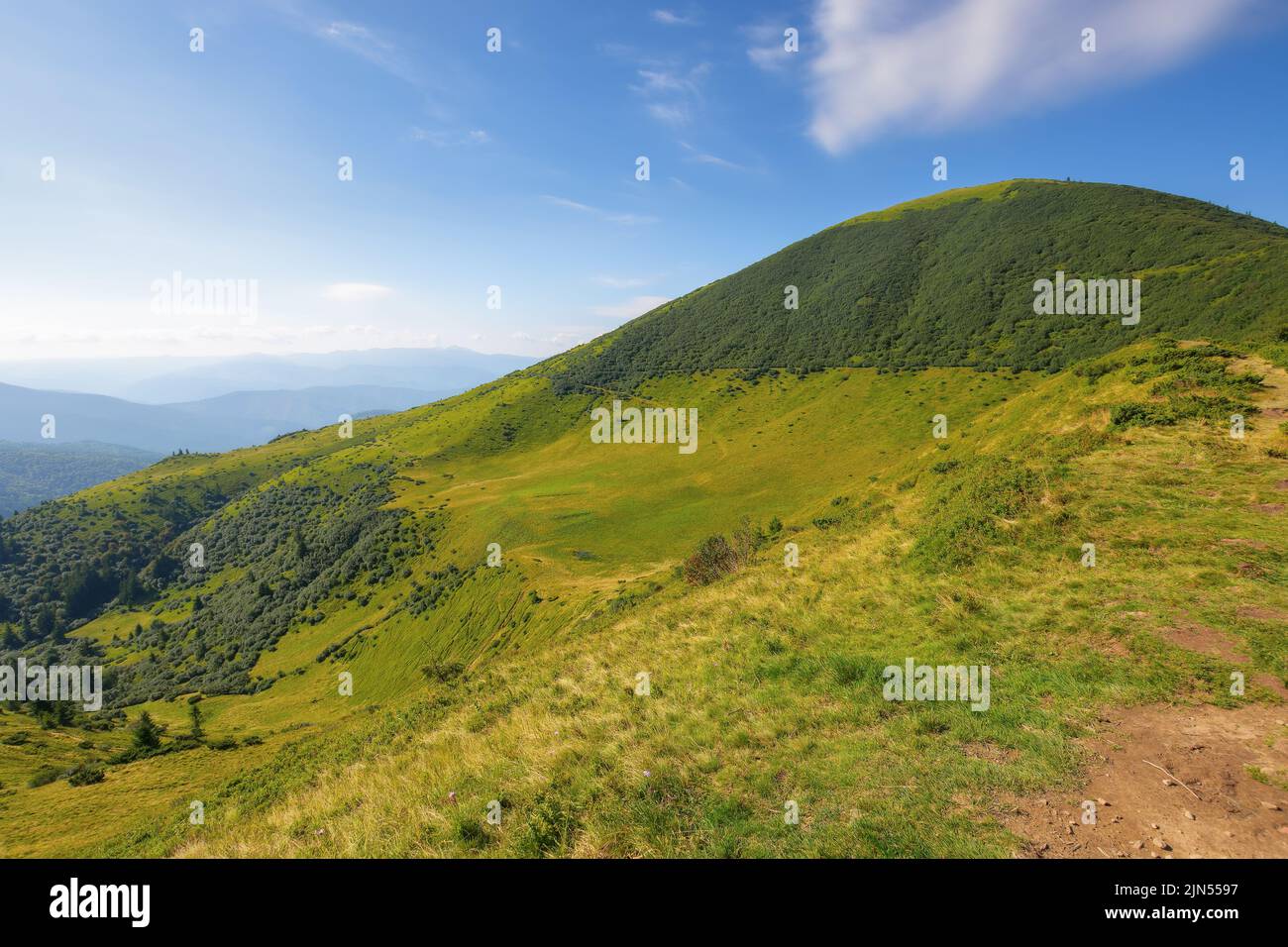 carpathian mountain range in summer. landscape with forested hills and grassy meadows rolling down in to the valley. travel ukraine Stock Photo