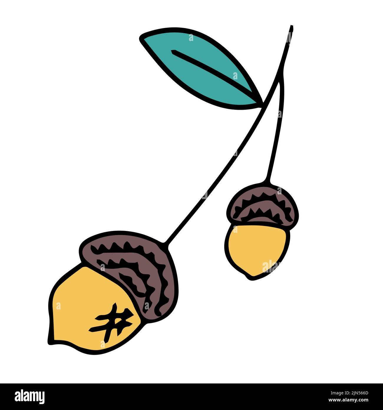 Oak cone in doodle style. Hello, Autumn. Oak fruits or seeds. Design or sticker. Isolated illustration. Vector Stock Vector