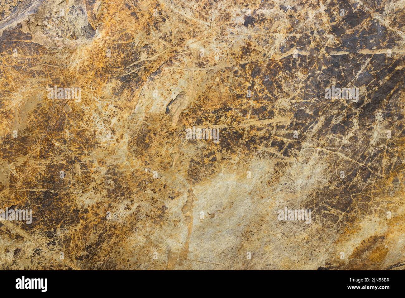 Natural stone background with golden veins. Granite slab stone, rustic matt texture Stock Photo