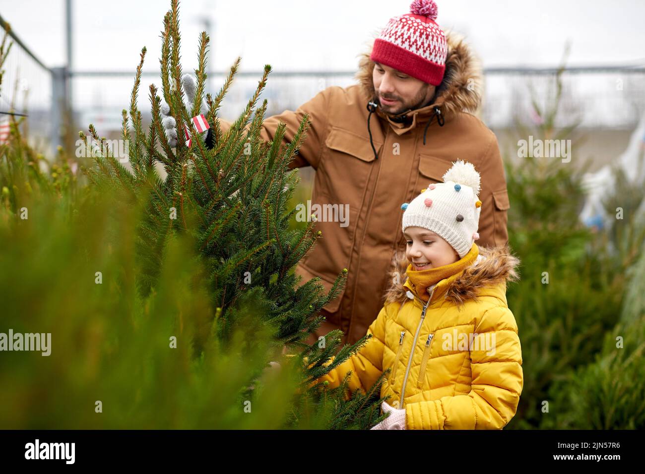 happy family choosing christmas tree at market Stock Photo