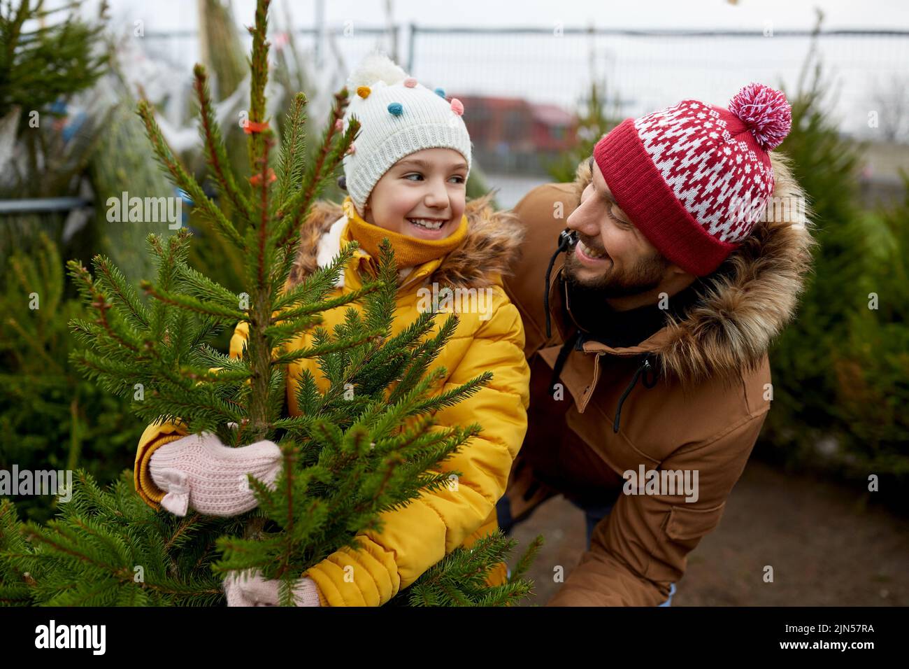 happy family choosing christmas tree at market Stock Photo