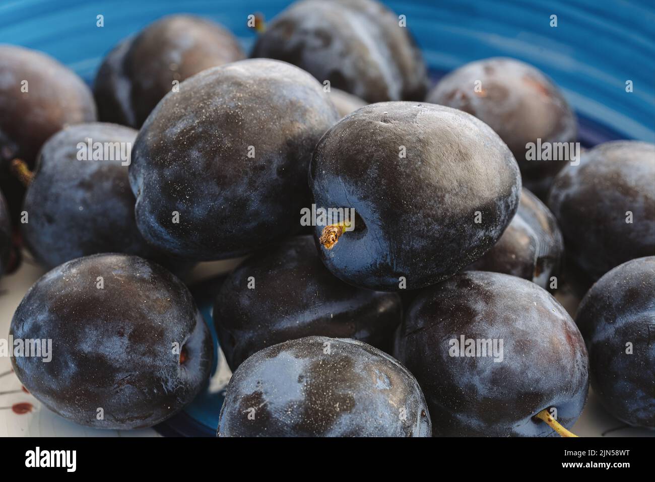close-up view of fresh ripe sugar plums in pottery bowl Stock Photo