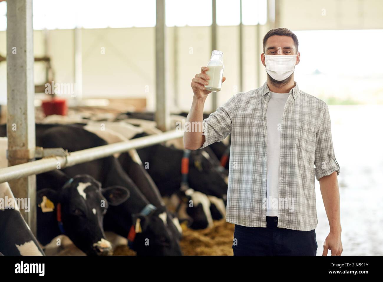 man or farmer in mask with milk on dairy farm Stock Photo
