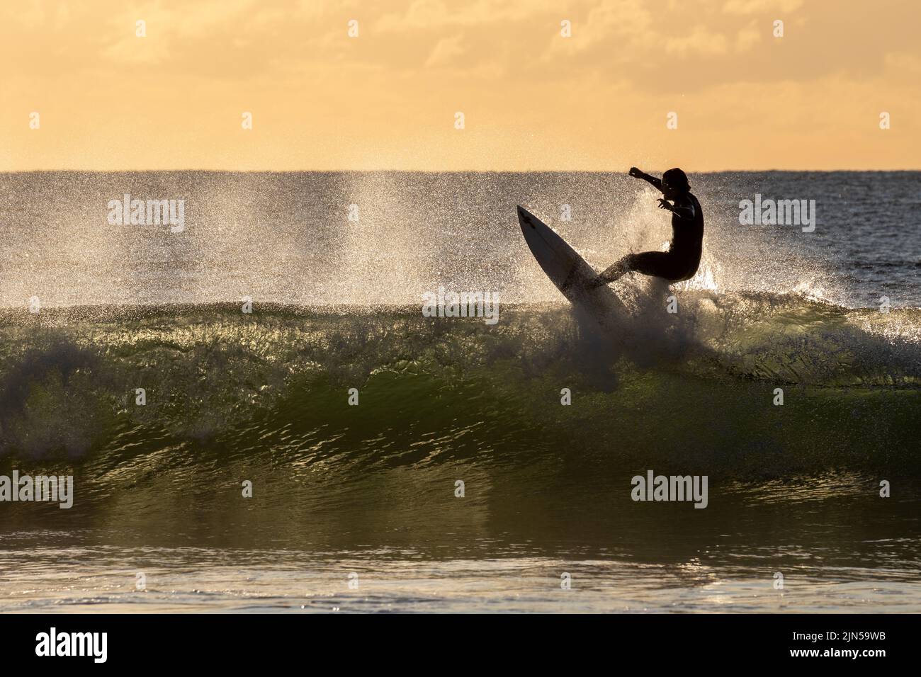 The surfer riding a wave in the early morning. Maroochydore, Australia. Stock Photo