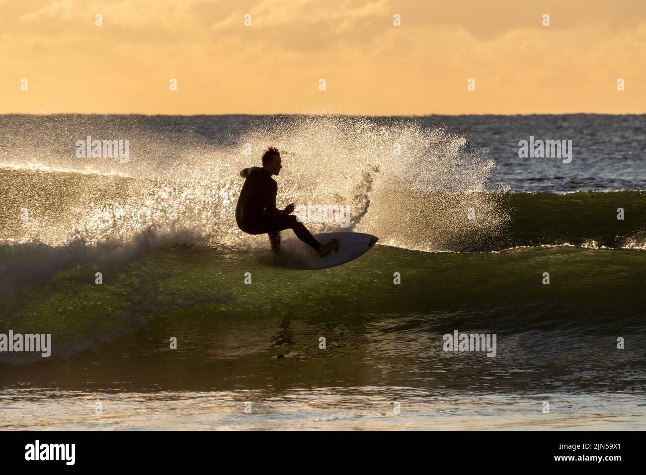 The surfer riding a wave in the early morning. Maroochydore, Australia. Stock Photo