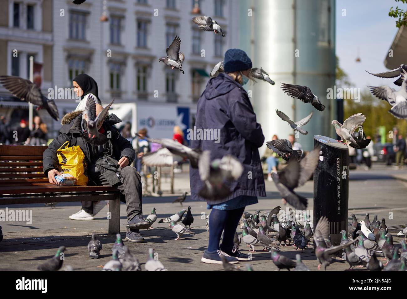 People feeding the pigeons at Nørreport, Copenhagen, Denmark Stock Photo