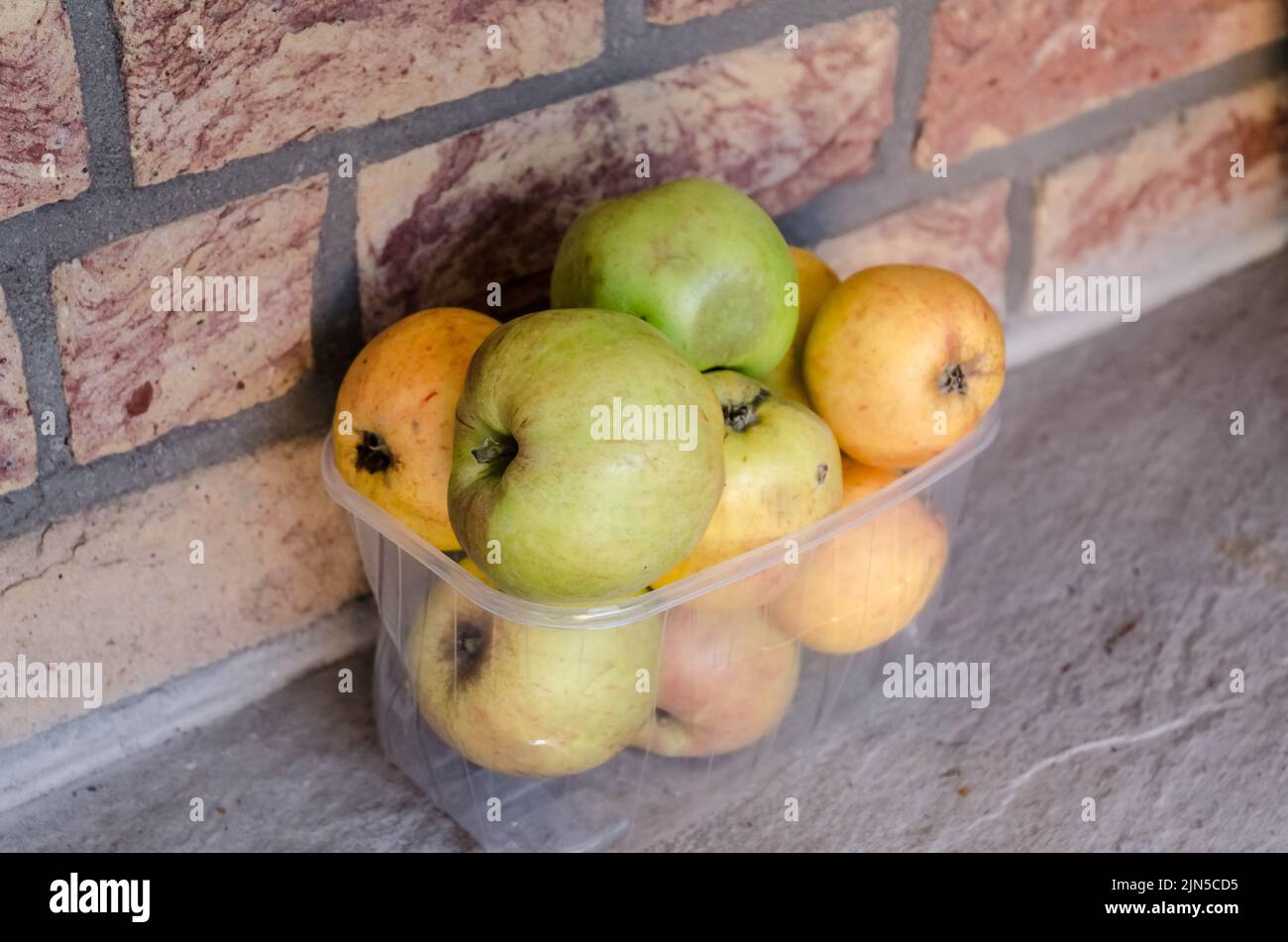 Green and yellow apples in a plastic bowl Stock Photo