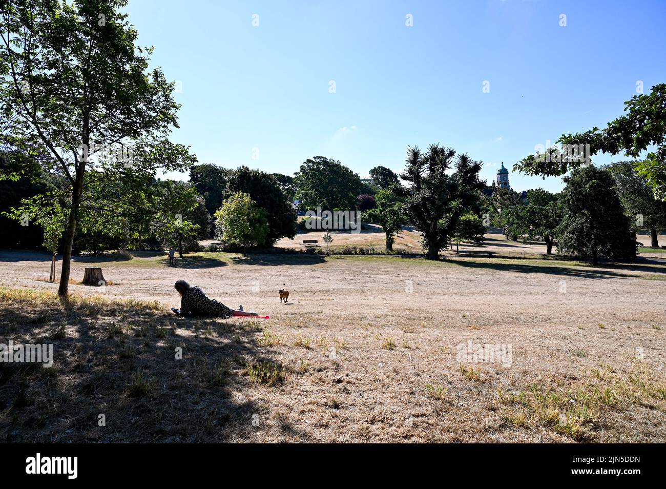 Hove , Brighton UK 9th August 2022 -  Parched burnt grass in Queens Park Brighton on another dry hot sunny day as some Water Companies are imposing hosepipe bans in parts of Britain this week : Credit Simon Dack / Alamy Live News Stock Photo
