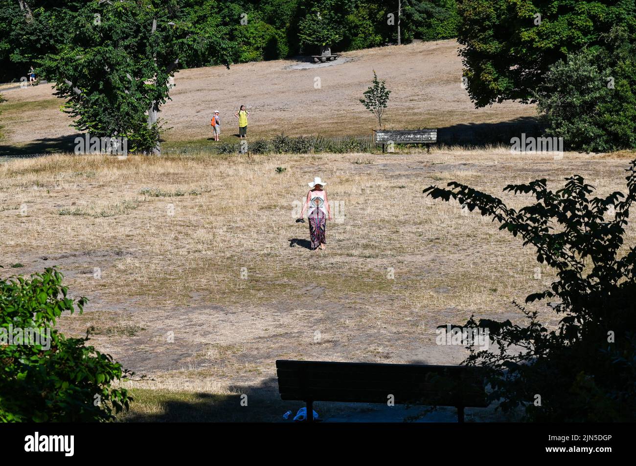 Hove , Brighton UK 9th August 2022 - A woman walks across the burnt parched grass in Queens Park Brighton on another dry hot sunny day as some Water Companies are imposing hosepipe bans in parts of Britain this week : Credit Simon Dack / Alamy Live News Stock Photo