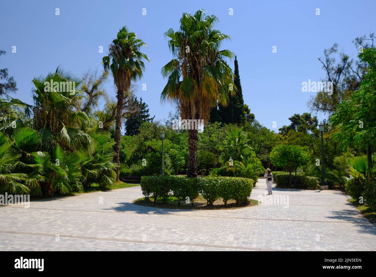Palm trees in the middle of Pedion tou Areos park in central Athens Stock Photo