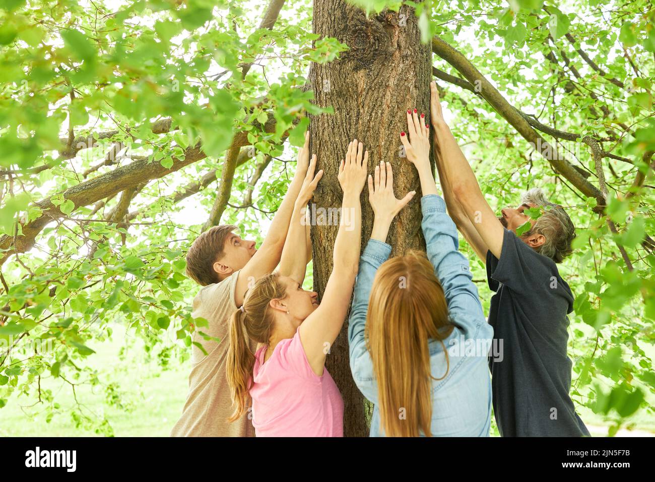 Group of people touching tree trunk with hands in forest bathing as relaxation Stock Photo
