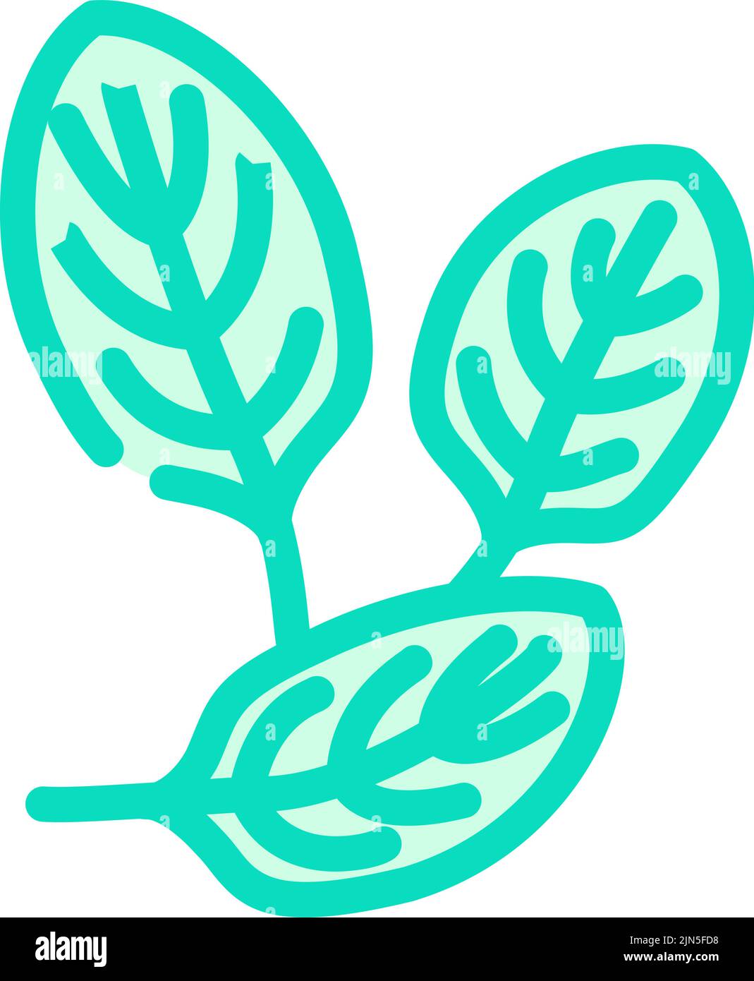 spinach green color icon vector illustration Stock Vector Image & Art