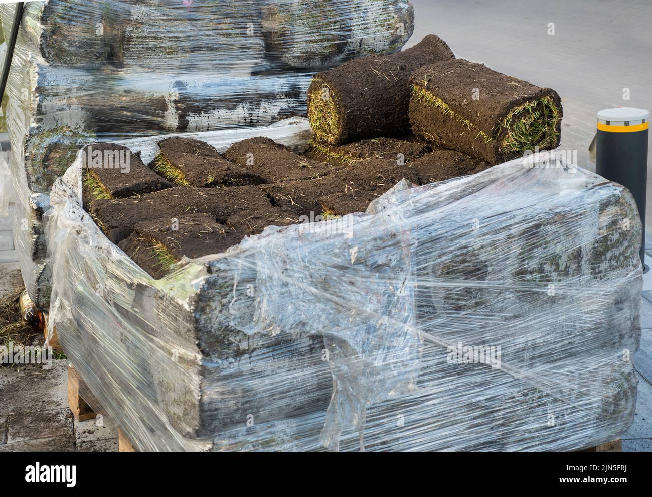 rolled grass carpet, Lawn grass in rolls of packaging on a pallet