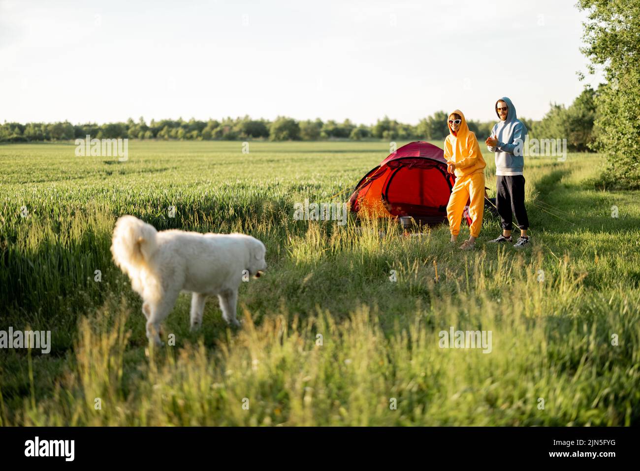 Young couple play with their dog at campsite Stock Photo - Alamy