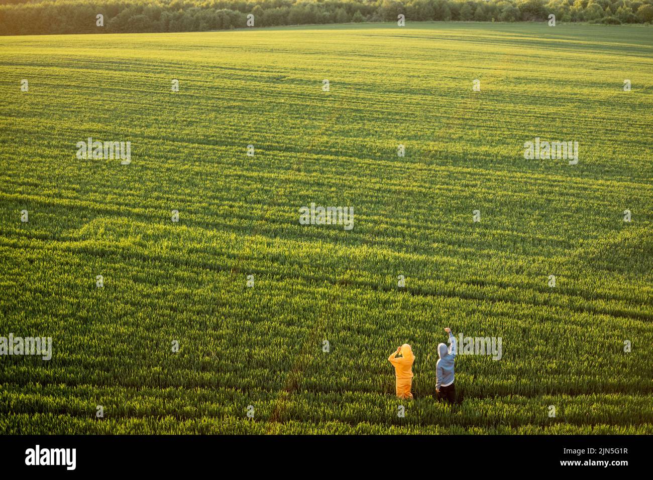 Aerial view on green wheat field with couple walking on pathway on sunset. People enjoy nature on farmland. Wide landscape with copy space Stock Photo