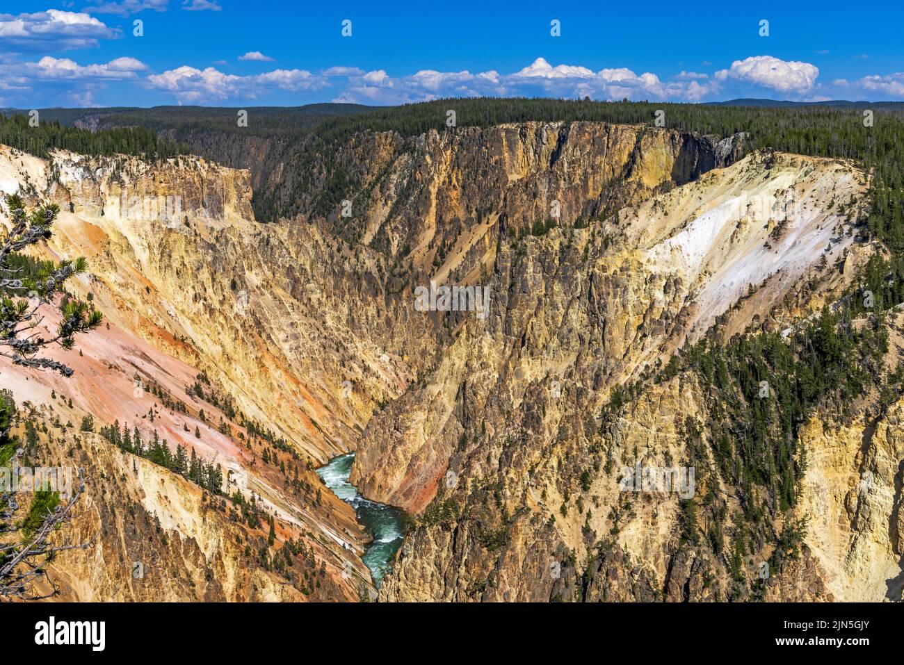 Grand Canyon of the Yellowstone with the Yellowstone River visible at the bottom in Yellowstone National Park, Park County, Wyoming, USA. Stock Photo