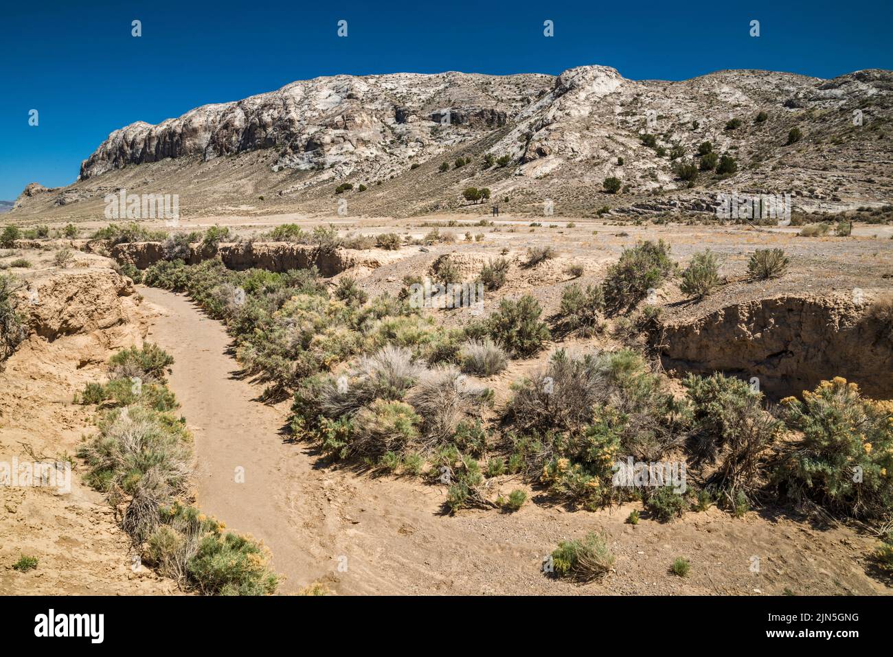Golden Gate Range, dry riverbed of Cherry Creek, Seaman Wash Road in distace, Water Gap area, Great Basin Desert, Basin and Range National Monument, N Stock Photo