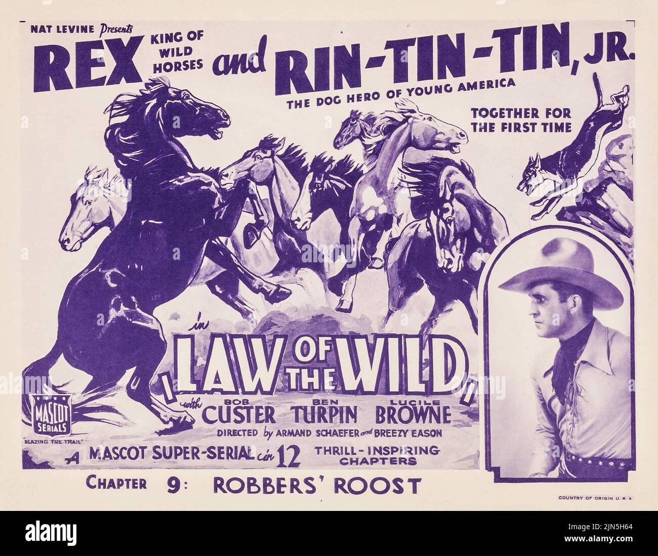 Rex King of Wild Horses and RinTinTin Law of the Wild (Mascot, 1934