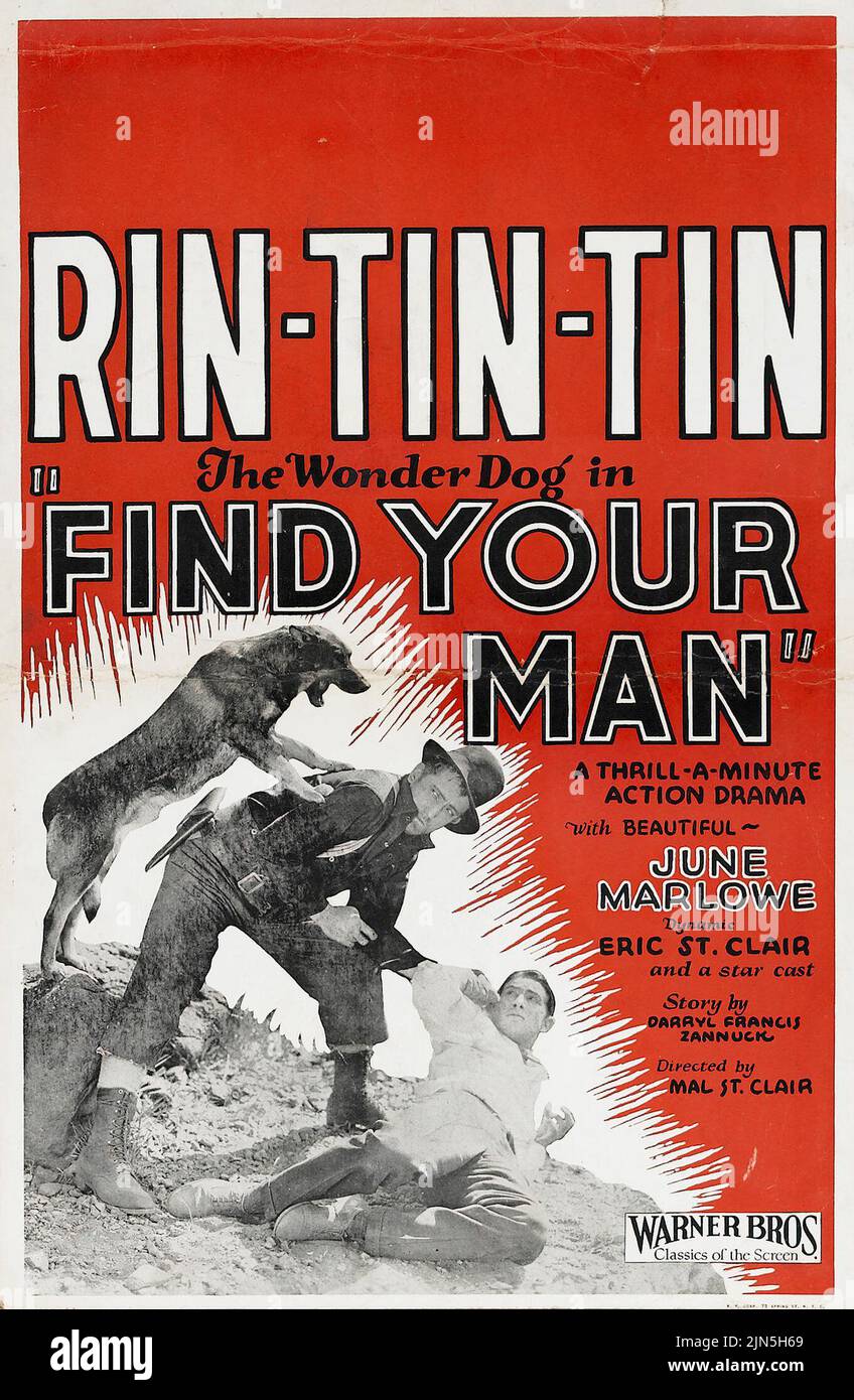 Rin-Tin-Tin - Find Your Man (Warner Brothers, 1924). Window Card Stock Photo