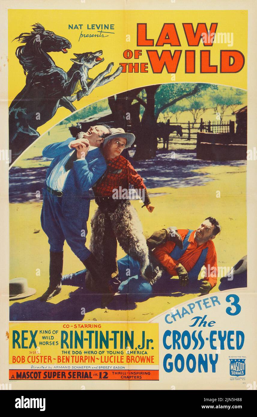 Vintage film poster - Rex and Rin-Tin-Tin - Law of the Wild (Mascot, 1934) - 'The Cross-Eyed Goony.' Ben Turpin Stock Photo